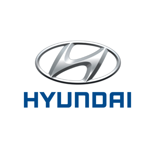 Repusel Caravanspiegel Hyundai