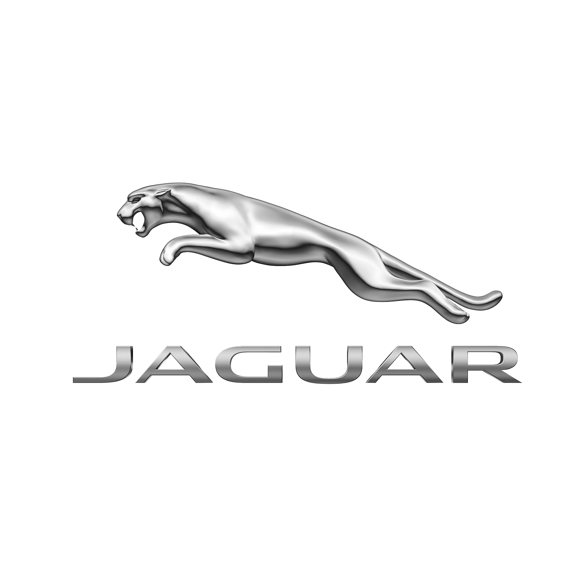 Repusel Towing Mirror Jaguar