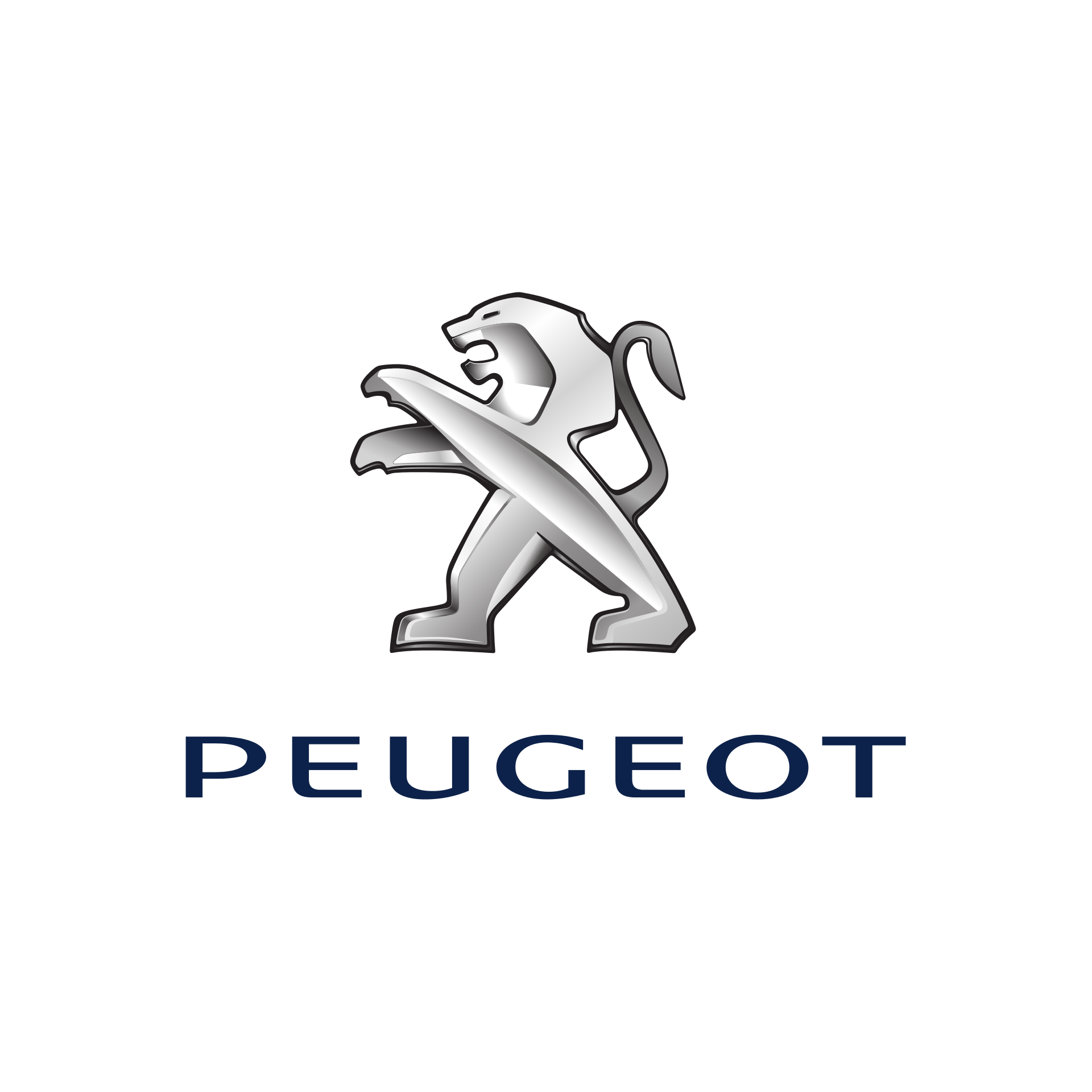 Repusel Towing Mirror Peugeot