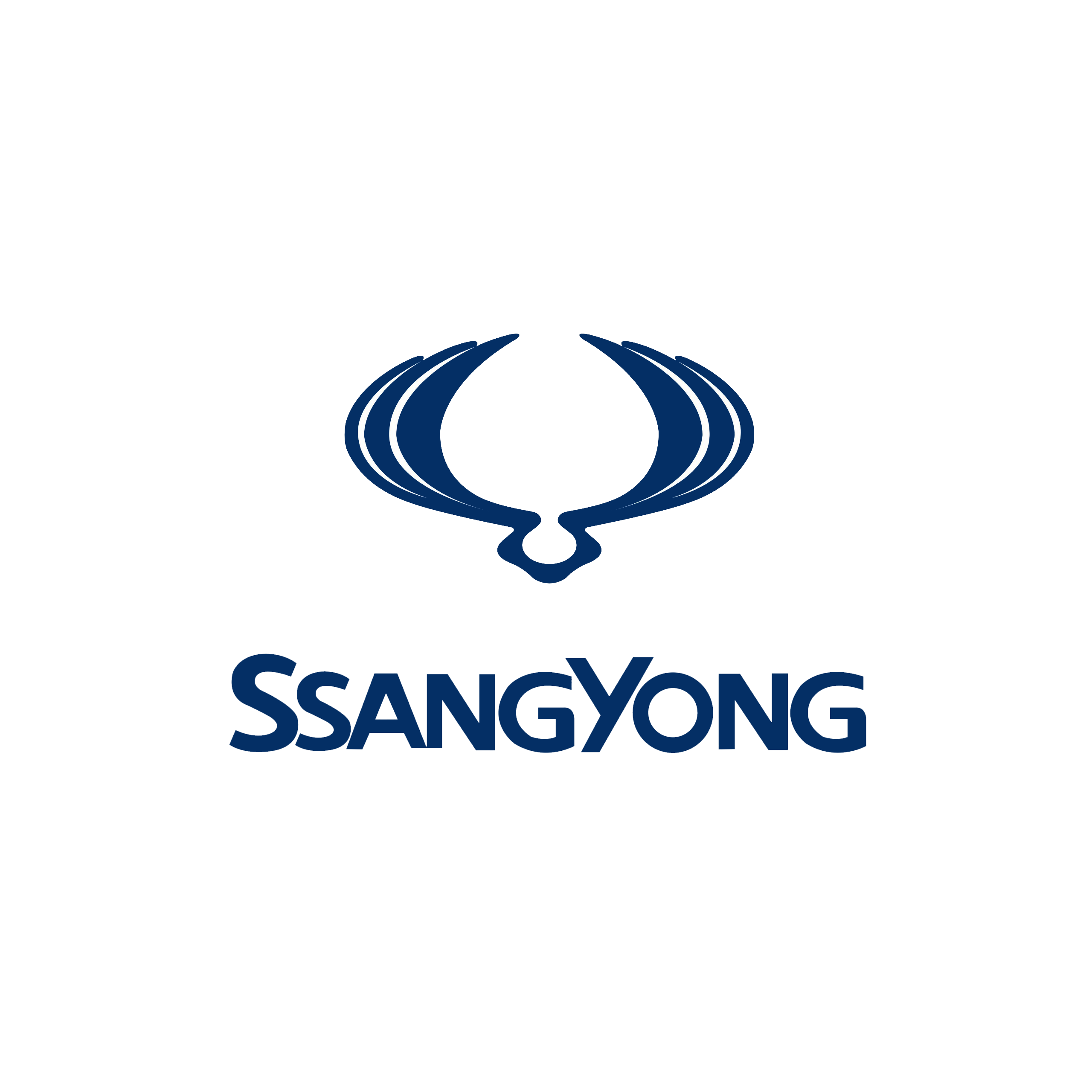 Repusel Towing Mirror Ssang Yong